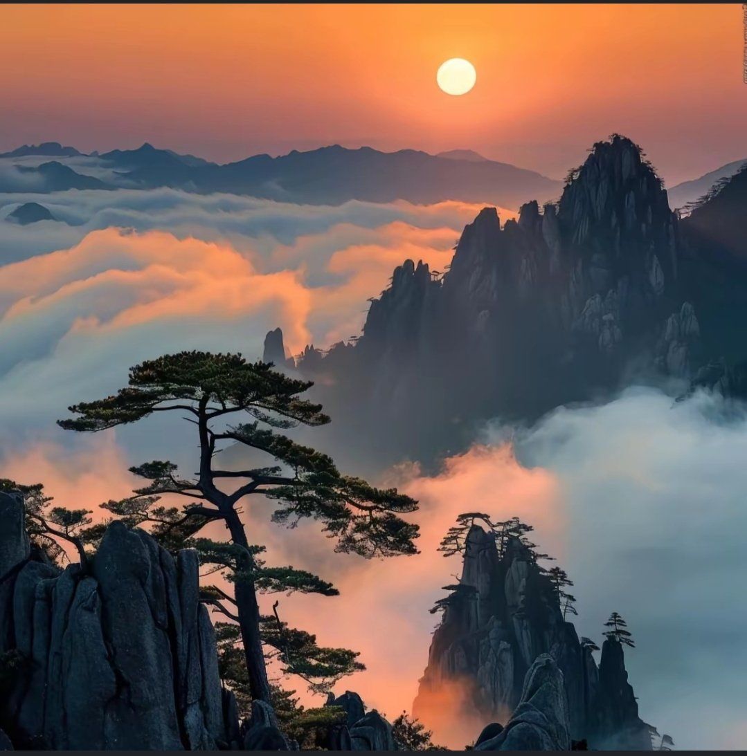 可脱身服全去掉的手机游戏二次元